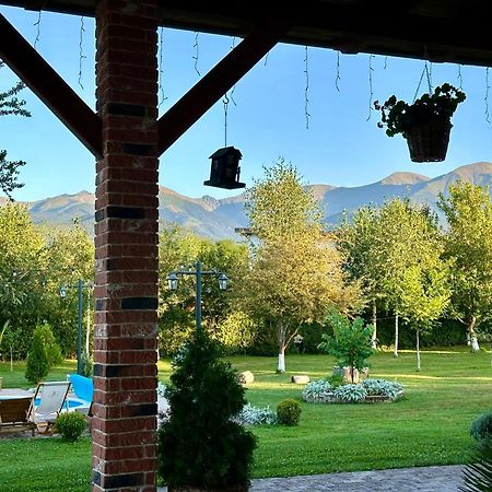 Villa Epic House Valea Avrigului Extérieur photo