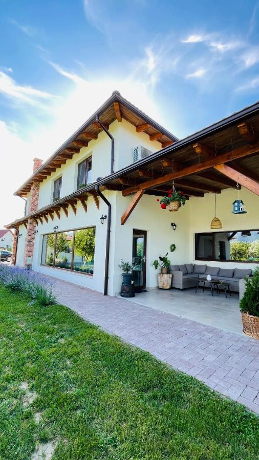 Villa Epic House Valea Avrigului Extérieur photo